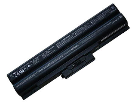 sony-bps13bps21